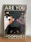 Tin Printed Poster Sign - Are You Pooping - Cats - Bathroom - Toilet Room