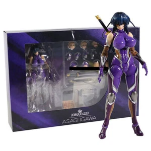 Colección de figuras de acción Native SECOND AXE ACTION Taimanin Igawa Asagi 6" - Imagen 1 de 10