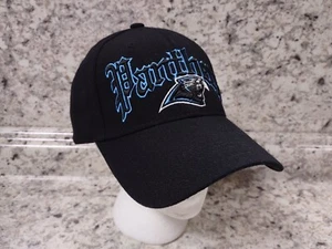 Rare Vtg NFL Carolina Panthers Embroidered 3D Old English Hat Black Wool Blend - Picture 1 of 24