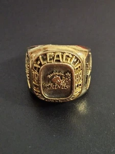 Rochester RHINO'S Soccer A-League 1998 Championship Ring - LIMITED edition fan - Picture 1 of 8