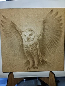 Schneeeule Lasergravur - Bild 1 von 1