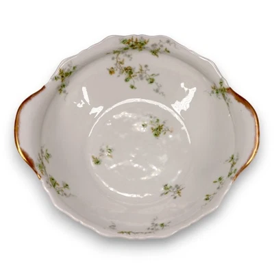 Antiguo cuenco ovalado floral Theodore Haviland Limoges c.1903 Foto 1 de 4