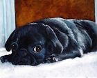 8x10 Black PUG Puppy Dog Art PRINT of Original Oil Painting Artwork by VERN