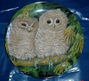 Wedgwood Collectors Plate TAWNY OWL CHICKS - THE BABY OWLS - Picture 1 of 2