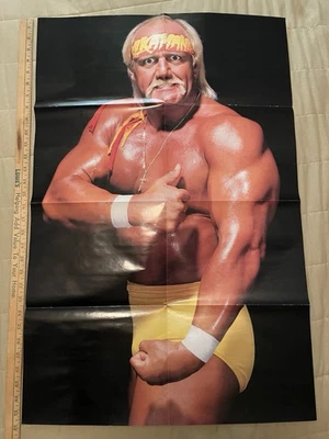 Póster Hollywood Hulk Hogan 2002 dos caras 21x32 Hulkamania WWF WWE Foto 1 de 4