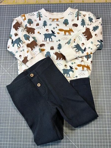 Topomini Baby Pulloiver + Leggings 86 Waldtiere Natur Anthrazit NEU - Bild 1 von 3