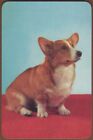  Playing Cards 1 Single Card Old CORGI DOG Queen Elizabeth ROYAL DOG Art Picture