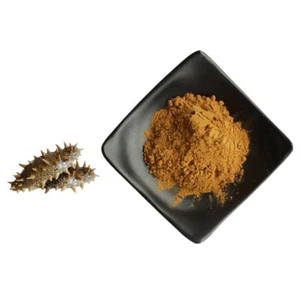 100g~500g Sea Cucumber Extract 10:1 Powder Hai Shen - Picture 1 of 1