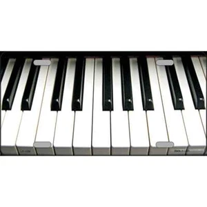Etiqueta de placa de metal novedad para teclado piano LP-1334 - Imagen 1 de 1
