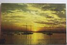 Scenic Sunset Harbor Boats Postcard Old Vintage Card View Standard Souvenir Post