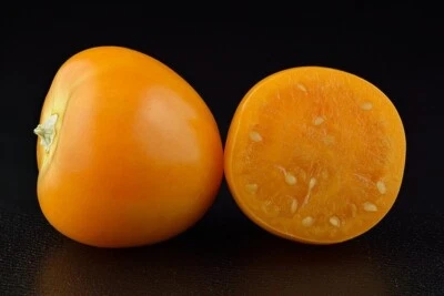 GOOSEBERRY GOLDEN NUGGET HEIRLOOM VEGETABLE 500 SEEDS WHOLESALE BULK - Image 1 of 4