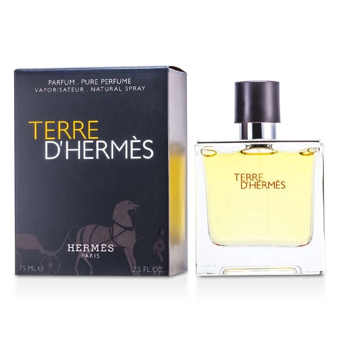 Terre D Hermes Tester for sale - eBay