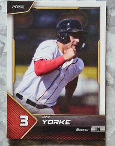 #23 Nick Yorke 2024 Pulso Béisbol Rubí - Piratas de Pittsburgh - Imagen 1 de 2