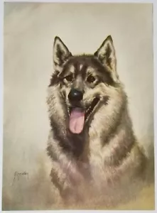 Artic Sled Dog Art Print Jack Greiner 1957 - Picture 1 of 2