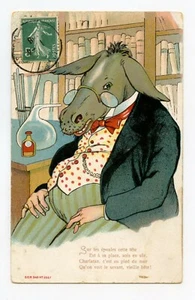 The Scholar. Scutch To Head Donkey - Picture 1 of 2