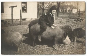 Foto postal real de niño sentado en cerdo RPPC c.1912 - Imagen 1 de 2