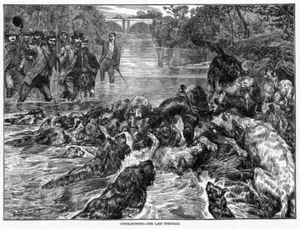 OTTER HUNTING, LAST STRUGGLE, DOGS, OTTER-HOUND ANTIQUE - Picture 1 of 1
