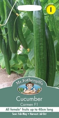 Mr Fothergill's Carmen Cucumber seeds  F1 - 5 Seeds 40 cms long sow by 2028 - Image 1 of 2