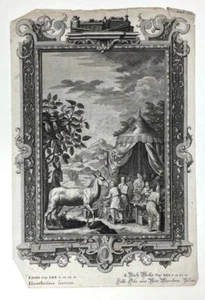 Rare Antique Print 18th Century Engraving - JJ Scheuchzer BIBEL, Physica Sacra - Picture 1 of 5