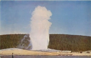 Postal Old Faithful Yellowstone Parque Nacional Wyoming WY - Imagen 1 de 2