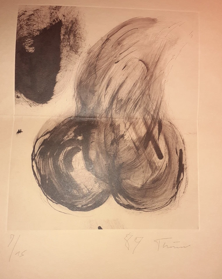ANDREAS THIEME original Lithografie 1989 hier 7/15 signiert - Bild 1 von 1