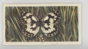 1963 Brooke Bond British Butterflies Tea Marbled White #5 1i3