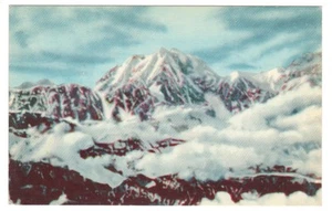 Mt McKinley National Park Denali Borough Alaska Postcard - Picture 1 of 2