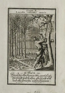 1730:WEIGEL-BIBEL_SCENA SACRA BIBBIA_Egitto,Locuste/Cavallette._10 Piaghe.Mose' - Imagen 1 de 1