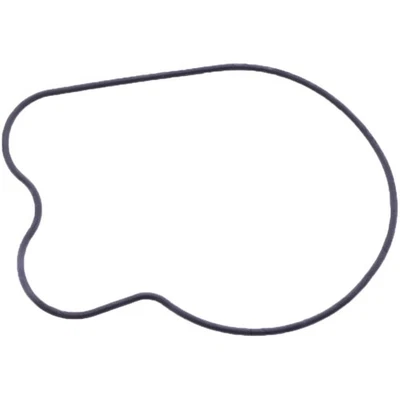 Joint De Pompe À Eau Pour Honda CB 1000 R 2008-16 CB1000 RA 2008-25 CBF CBR 1000 - Photo 1/3