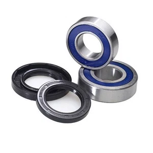 ALL BALLS KIT CUSCINETTI RUOTA ANTERIORE SUZUKI AN BURGMAN 250 2007-2008 - Imagen 1 de 1