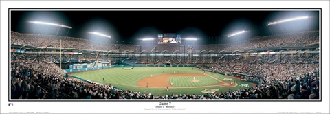 Florida Marlins | Professionally Framed Panorama Poster Cover