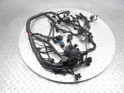 Triumph Tiger 800 XCX 2015 11-15 OEM motor principal cableado arnés telar cables Foto 1 de 4