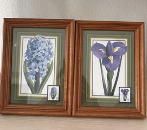 Arte de sello postal enmarcado jacinto azul e iris púrpura 8x 6 enmarcado - Imagen 1 de 4