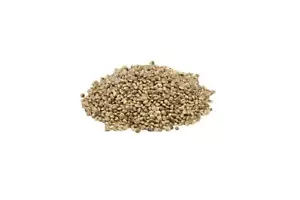 Bio Hanfsamen ungeschält 1 kg aus Sachsen - roh naturbelassen Hanfsaat - Bild 1 von 5