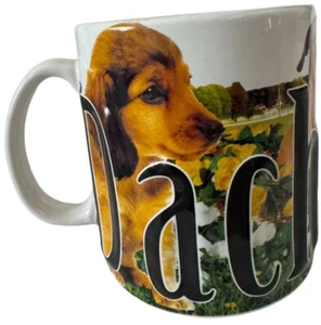 Dachshund Dog 3D Large Ceramic Mug Cup Americaware - Picture 1 of 6