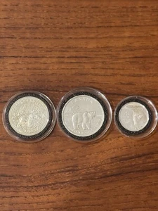 Kanada Silbermünzen - Eisbär 1980 , 2012 - 3er Set - Bild 1 von 8