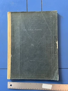 Antique 1920 The Cotton Blossom Temple, Texas High School Yearbook - Picture 1 of 24