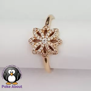 Genuine Pandora 14ct Yellow Gold CZ Lace Botanique Statement Ring 150182CZ Sz 50 - Picture 1 of 8