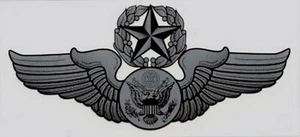 Air Force Enlisted Master Aircrew Abzeichen Aufkleber - Bild 1 von 1