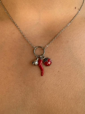Collana Portafortuna con Ciondoli Smaltati Corno e Coccinella Acciaio - Immagine 1 di 4