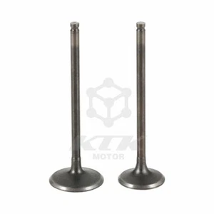 Intake and Exhaust Valves Kit For Honda NX250 1988-93 AX-1 1989-94 14711-KW3-000 - Picture 1 of 5