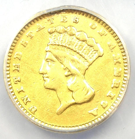 1889 Indian Gold Dollar G$1 - Certified ANACS VF30 Details - Rare Early Coin! Cover