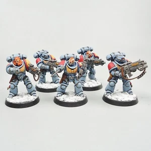 Space Wolves Intercessors x5 Painted -  Warhammer 40k Army Space Marines - Picture 1 of 4