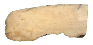 PORT ORFORD WHITE CEDAR BLANK CRAFTING TURNING WOODWORKING APPROX 19.5x8x2.5 IN - Picture 1 of 3