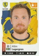 DHB Handball Sticker 21/22 - Blue Ocean - No. 82 Albin Storage Gren - RN Lions