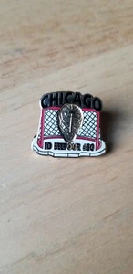 Chicago Blackhawks Ed Belfour 30 pin Net and mask The Eagle HOF Limited 10000 - Picture 1 of 3