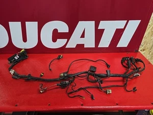 Impianto Elettrico Ducati Monster 2001 - Foto 1 di 7