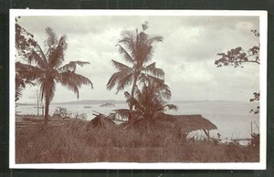 Timor photo Coast Hut Palm Trees Indonesia 1920s - Picture 1 of 1