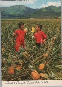 Hawaii the Pineapple Capital of America Continental Chrome Postcard - Picture 1 of 2