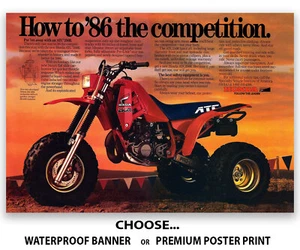 Honda ATC 250R 1986 folleto cartel pancarta fabricante de equipos originales folleto calcomanía imagen gráfico - Imagen 1 de 4